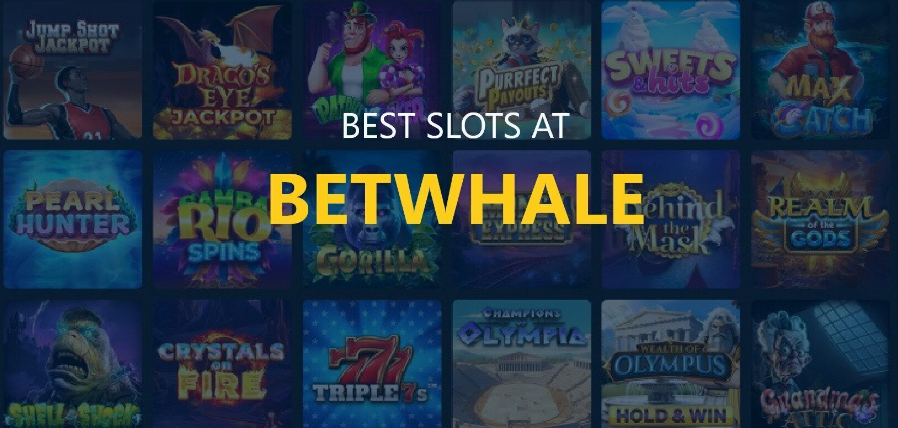 Best online casino Betwhale: what are its uniqueness and advantages?